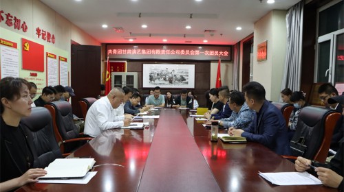 共青團甘肅演藝集團有限責任公司委員會成立 選舉產生第一屆委員會